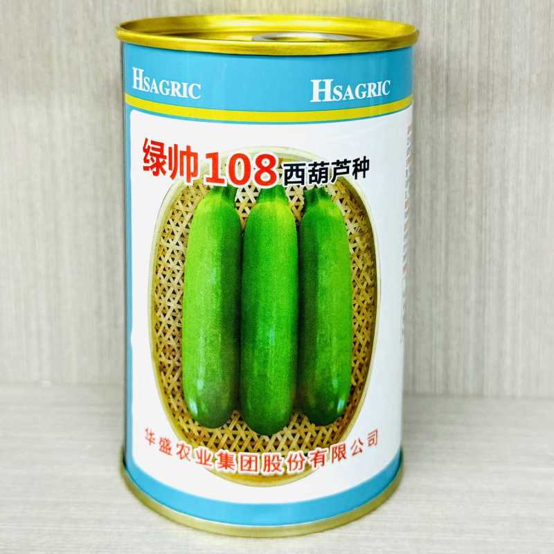 绿帅108西葫芦种子长棒行株型紧大田基地种植西葫芦种籽高