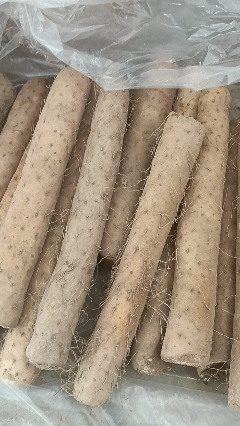 麻山药一级二级三级有要的联系，代收代发