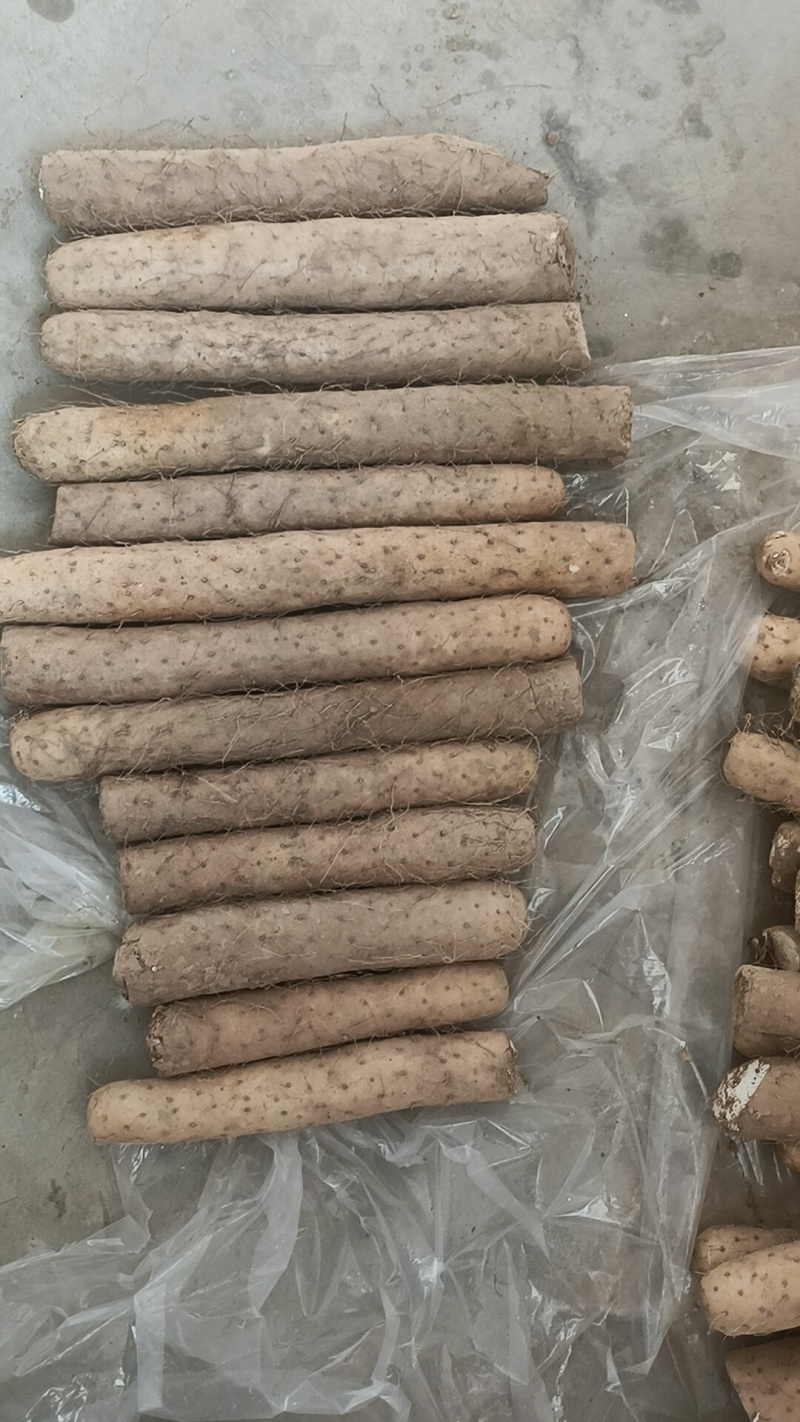麻山药一级二级三级有要的联系，代收代发