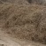 野生甘草/新疆甘草/自然甘草/中药材原料