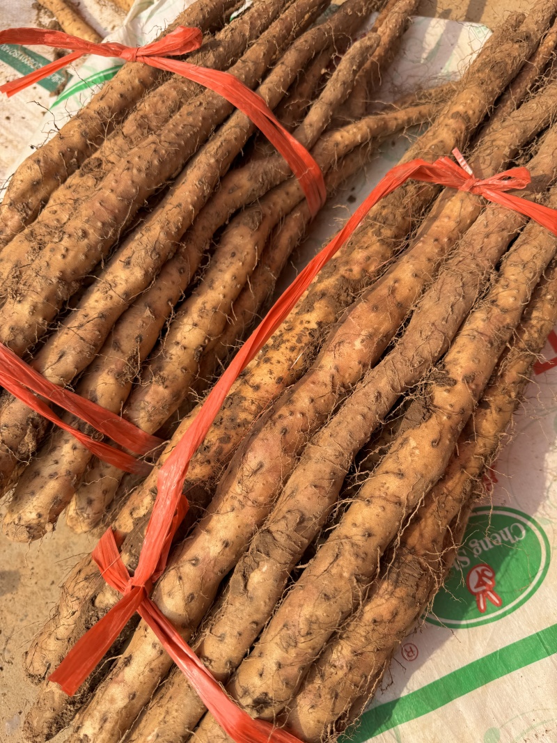 垆土铁棍山药，现挖现发对接社区团购，支持一件代发！