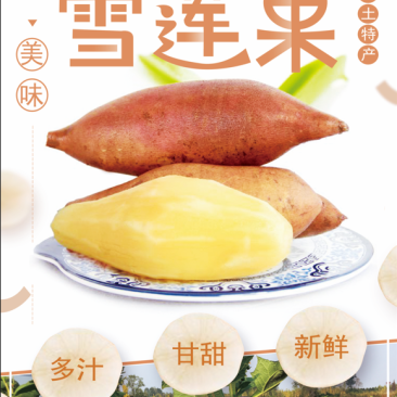 雪莲果一件代发市场超市精品果社区团购供货货源稳定