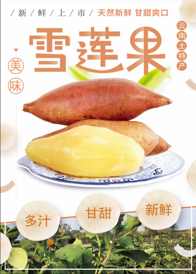 雪莲果一件代发市场超市精品果社区团购供货货源稳定