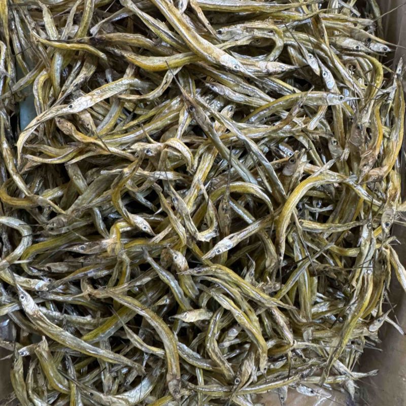 针公鱼针鱼淡干无盐不带油性干度9成