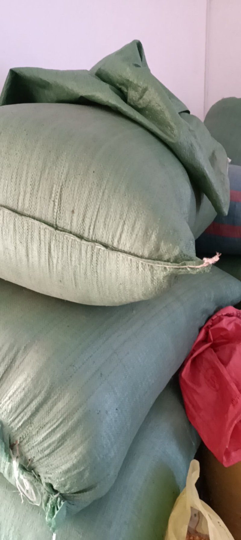 甜茶叶