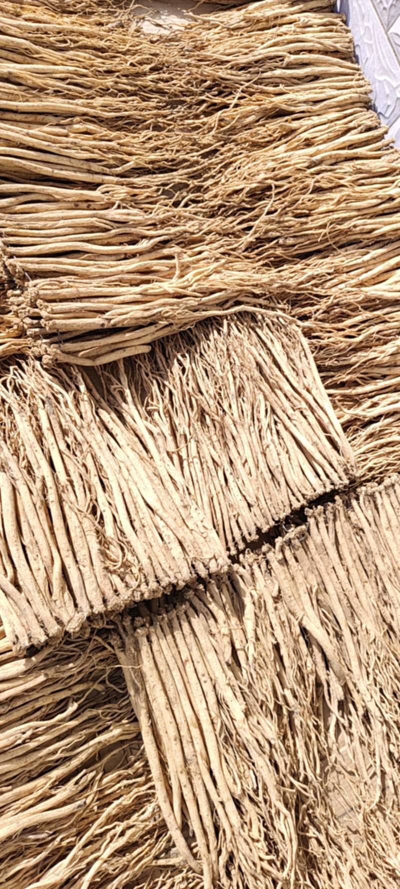 岷县白条党参精品网店**无硫自然风干白条党参