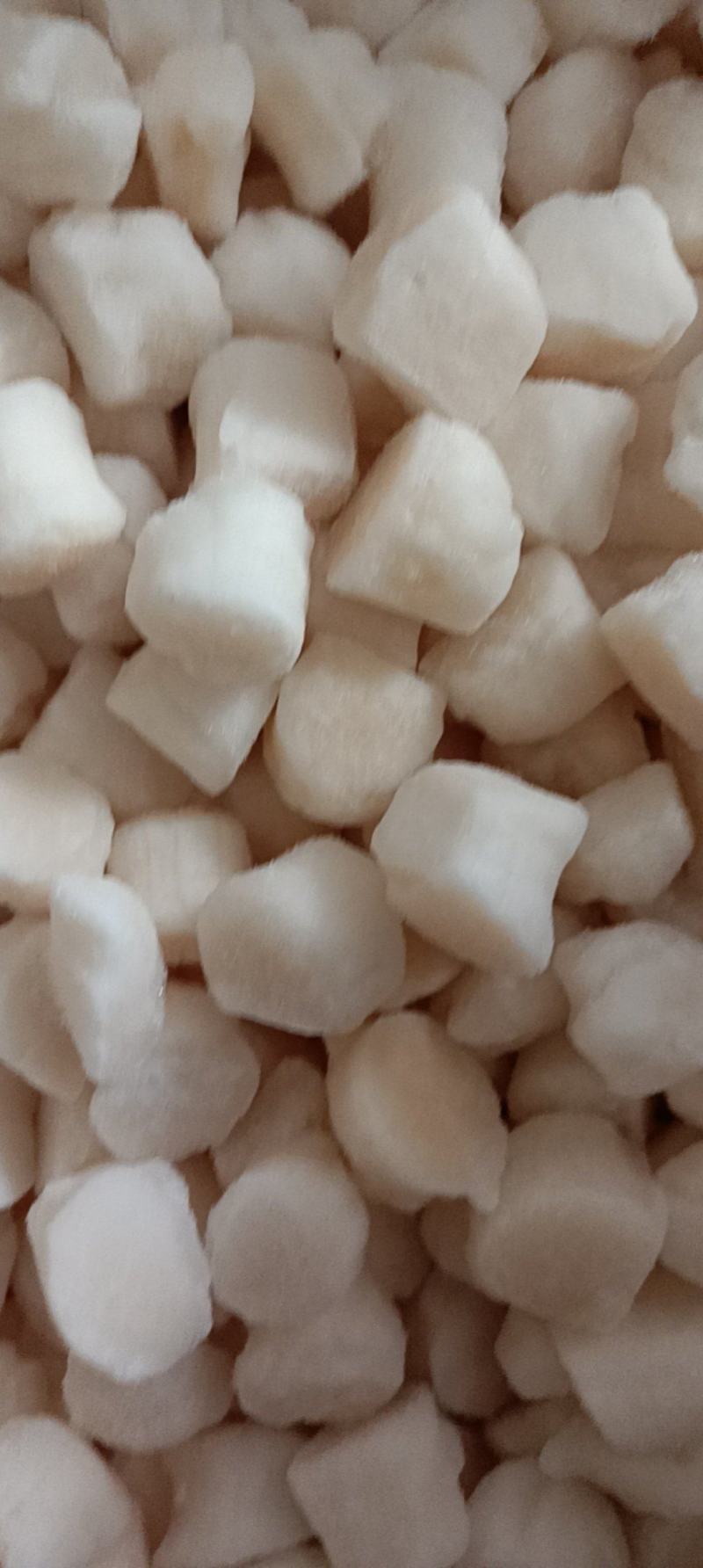 扇贝柱大小规格都有货支持批发零售货源充足价格平稳欢迎大家