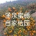 临海一奇吃桔带皮