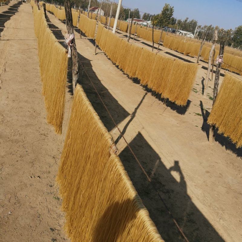 精品粉条山东木薯粉条大量供应承接商超电商平台欢迎来电咨询