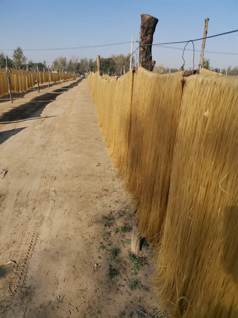 精品粉条山东木薯粉条大量供应承接商超电商平台欢迎来电咨询
