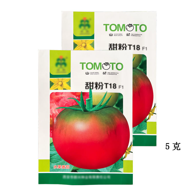 甜粉T18水果番茄种子中早熟粉红果绿腚口感番茄