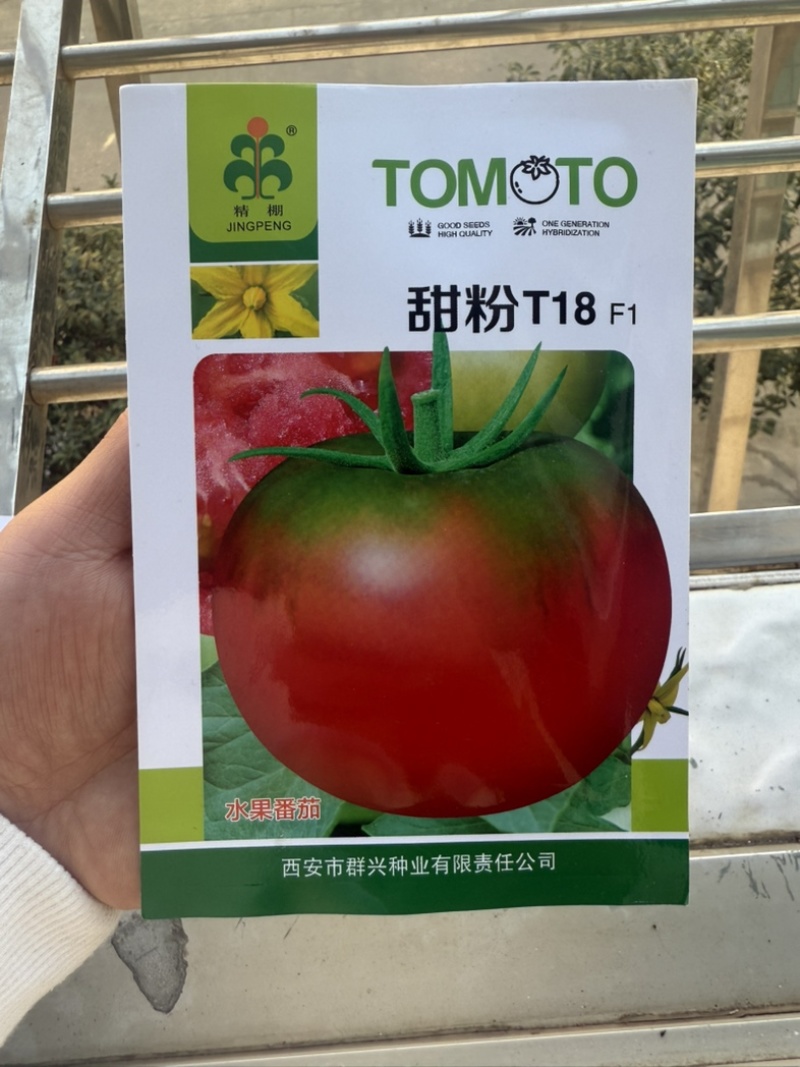 甜粉T18水果番茄种子中早熟粉红果绿腚口感番茄