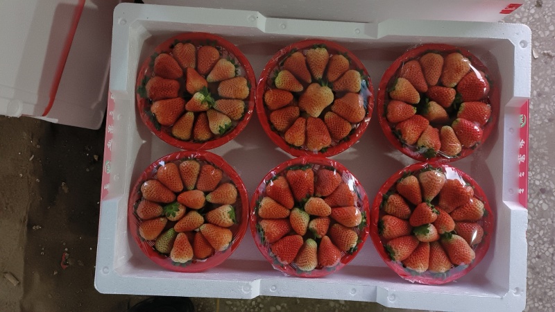 市场草莓大量上市