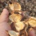 湖北手采棉花壳大量现货供应，颜色亮手撕棉花壳