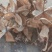 湖北手采棉花壳大量现货供应，颜色亮手撕棉花壳