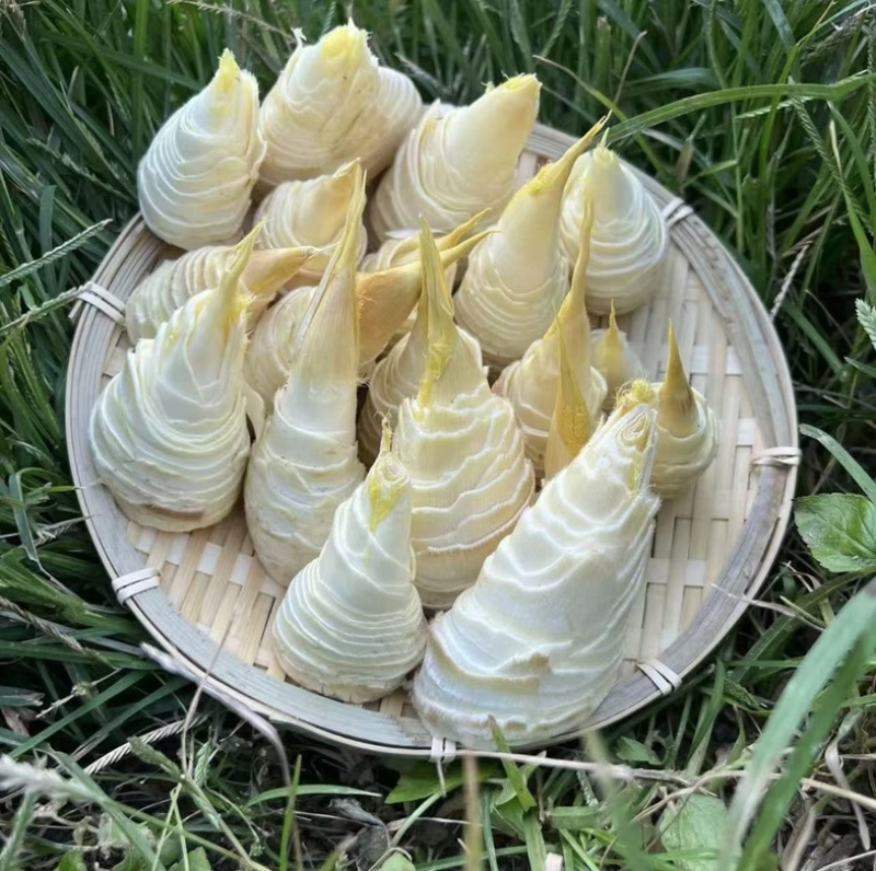 冬笋肉
