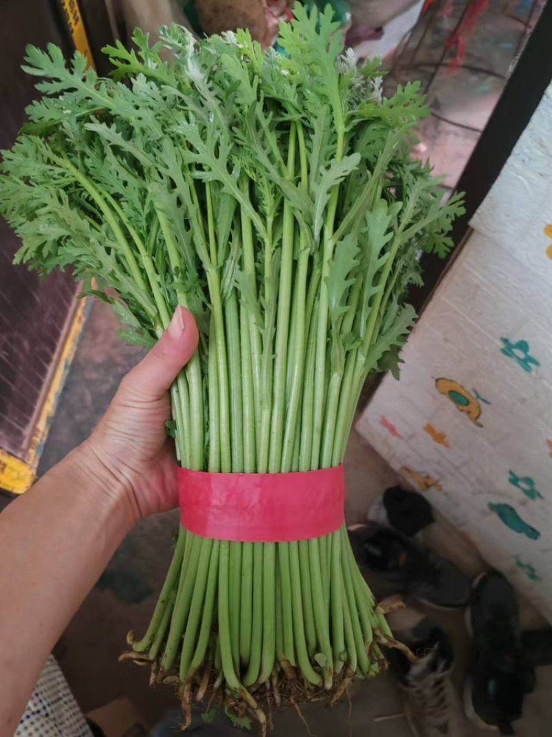 蒿子杆25~30cm颜色好杆子长一年四季有货
