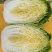 黄心白菜大量现货，欢迎光临市场批发商