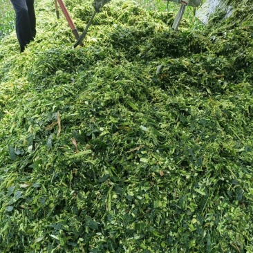 玉米杆