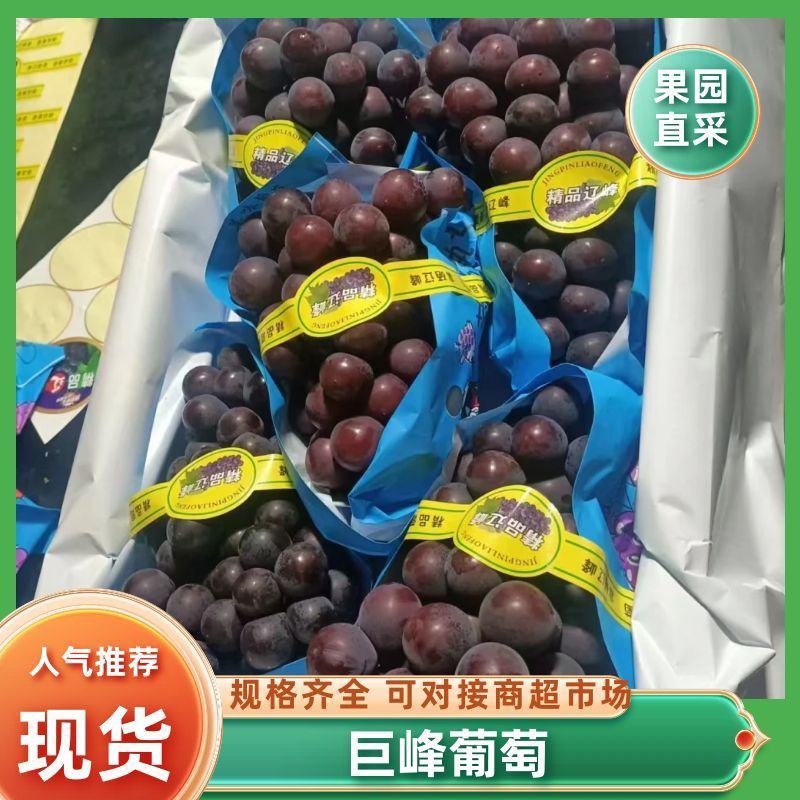 精品巨峰葡萄，辽峰葡萄，阳光玫瑰葡萄，大量上市