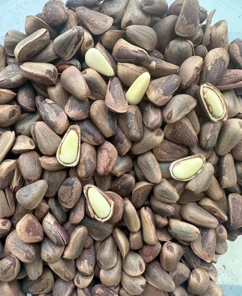 松子炒熟开口东北松子包邮批发到家好吃不贵