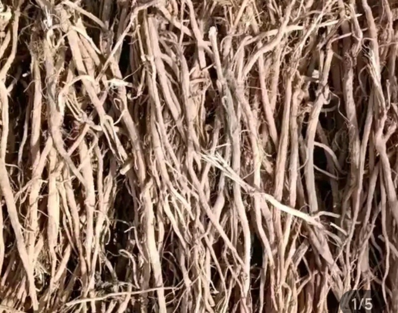 急售滞销牛膝干货