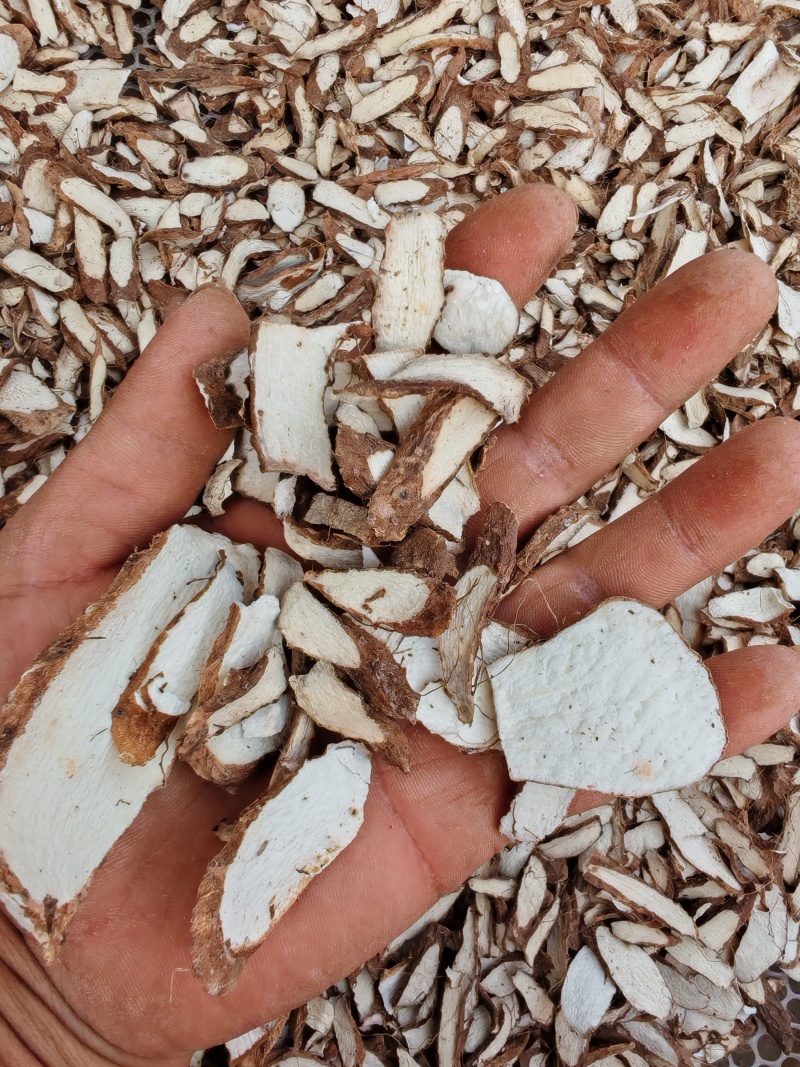 铁棍山毛药片