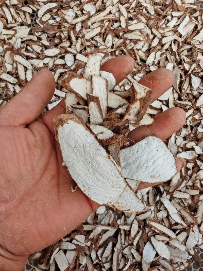 铁棍山毛药片