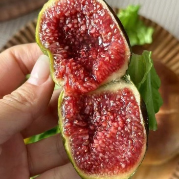 格莱斯无花果