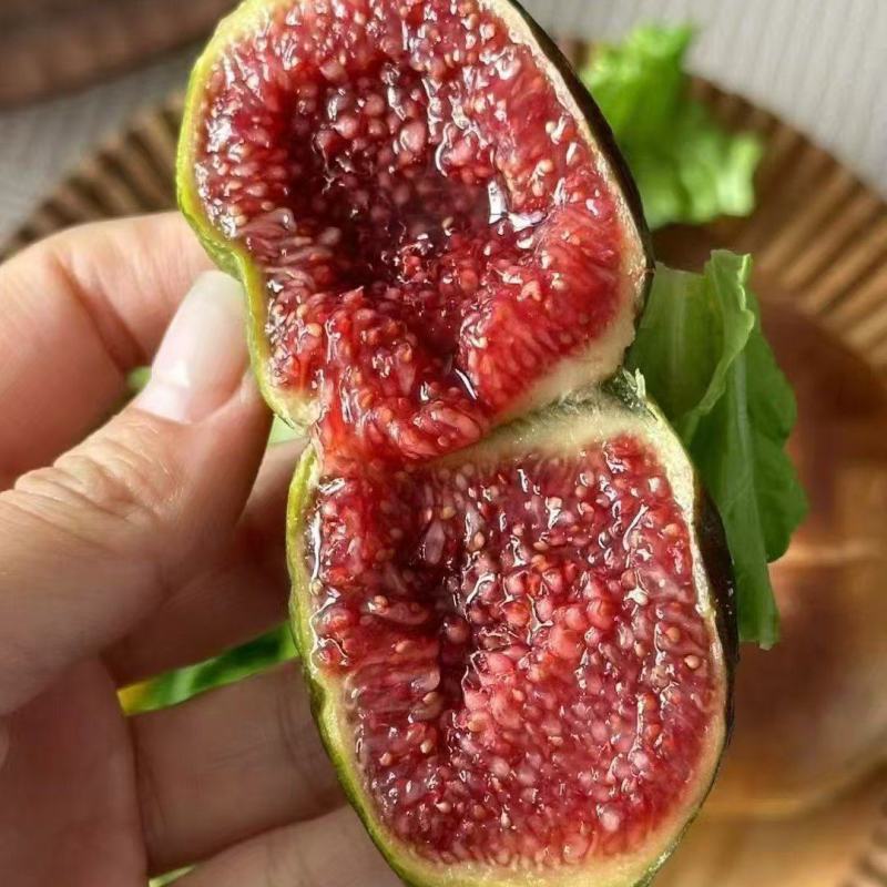 格莱斯无花果