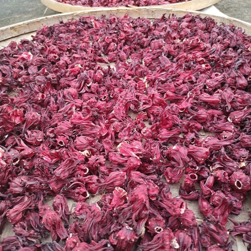 精品玫瑰茄会理洛神花无硫自然晾干品质好价格低欢迎来电