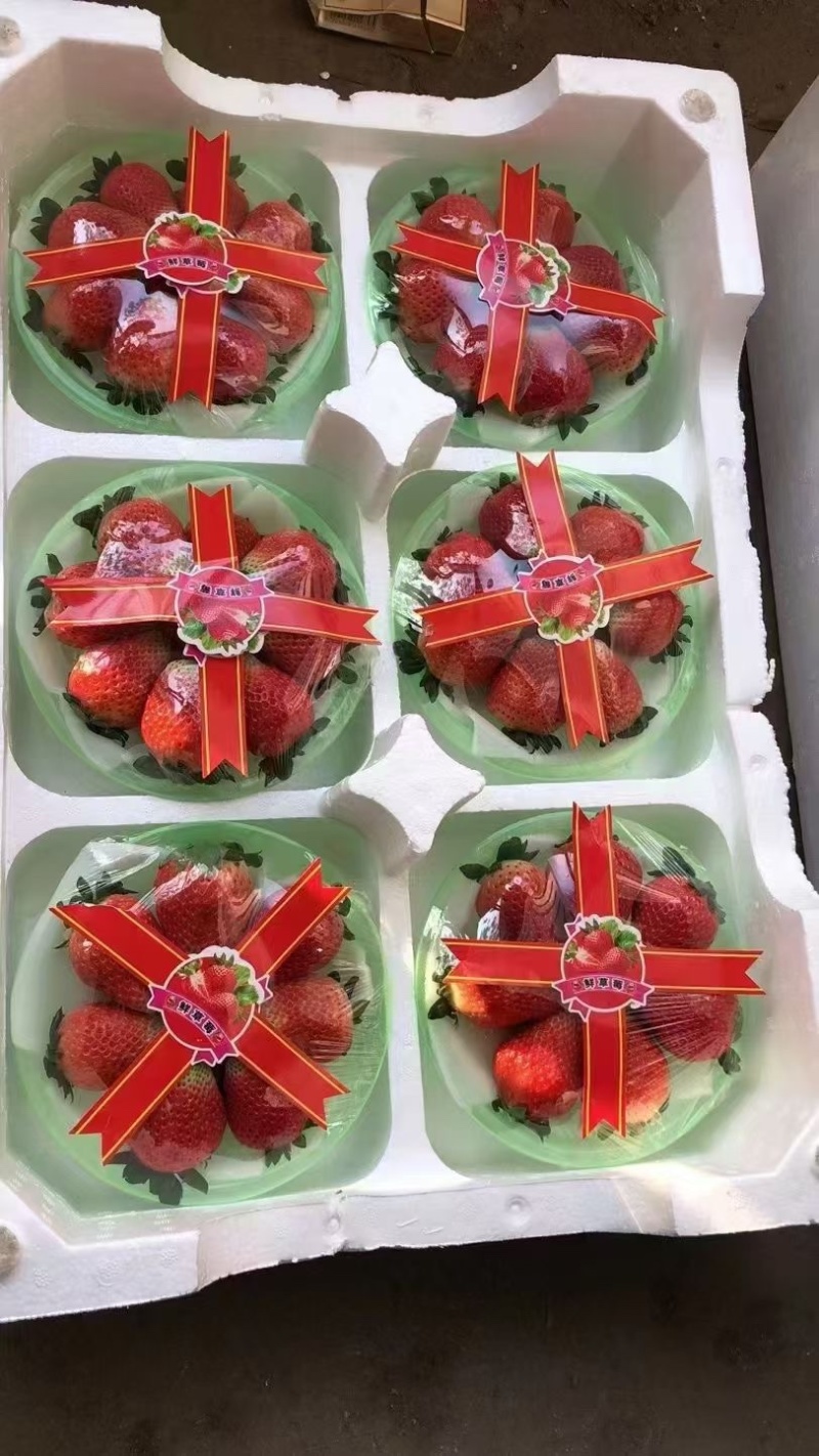 徐州宁玉大量上市，承接批发商，供应链，电商，前来合作