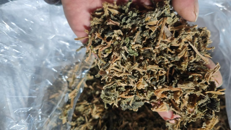 精品梅干菜货源充足量大从优质量保证欢迎咨询