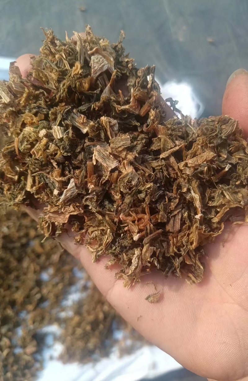 精品梅干菜货源充足量大从优质量保证欢迎咨询