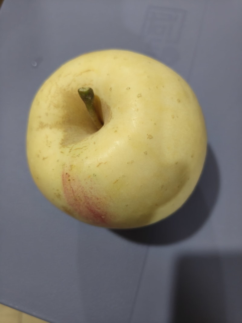 奶油苹果霜降后大量上市，冷库货。