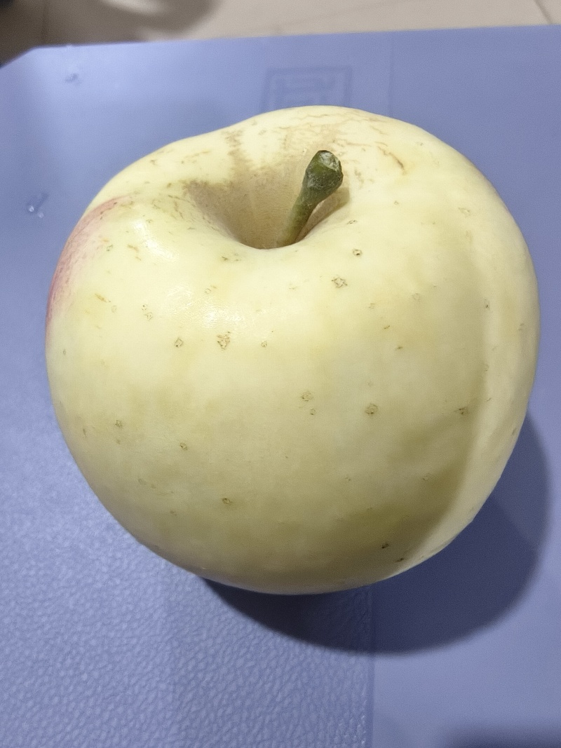 奶油苹果霜降后大量上市，冷库货。