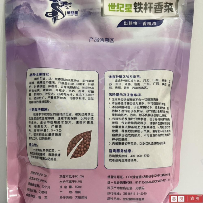 铁杆香菜种子，耐捆扎无筋口感甜
