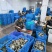 苏州精品残蟹3斤装礼盒装包邮到家