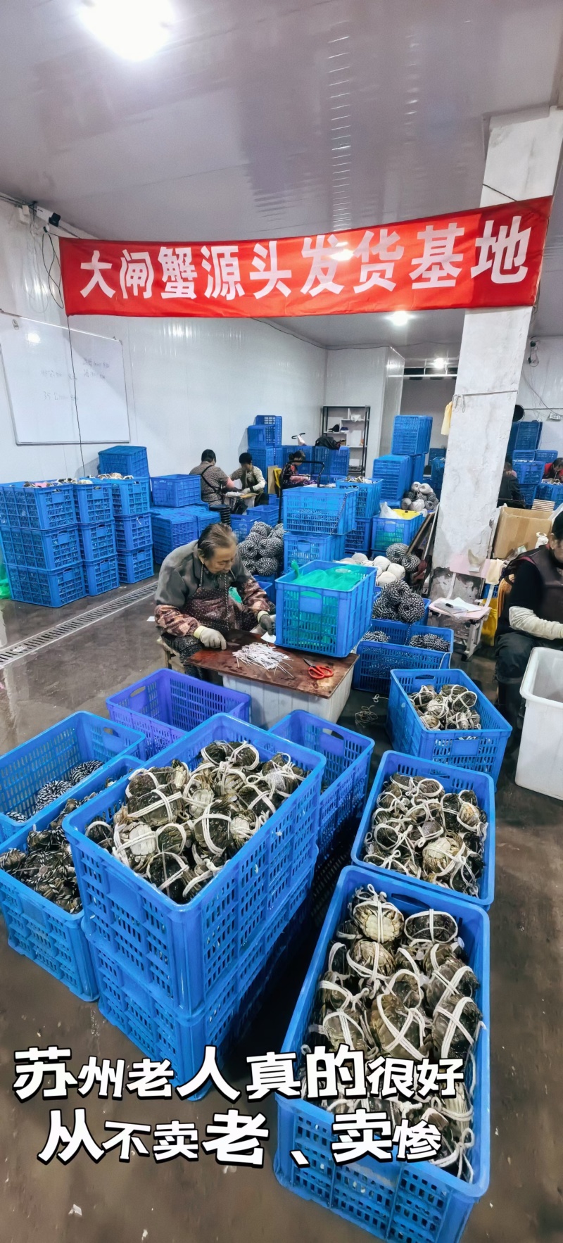 苏州精品残蟹3斤装礼盒装包邮到家