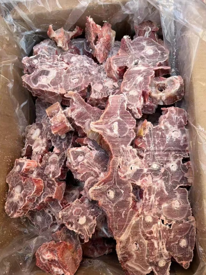 满肉羊蝎子厂家直发一手货源量大从优欢迎咨询