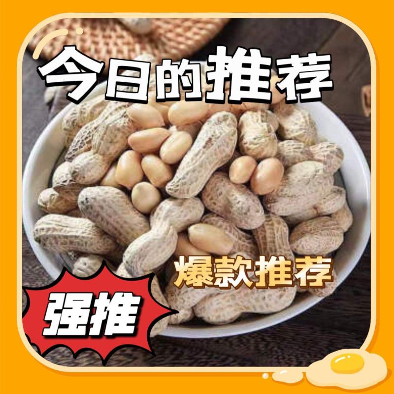 河北原味铁锅炒花生原味熟花生大量出售价格合理质量可靠