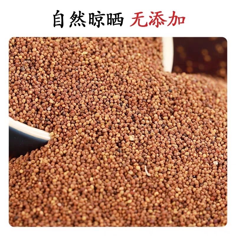 【实力商家】精选内蒙古菟丝子厂家直发品质保障