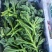 冰草，冰菜，来自内蒙草原边上的有机蔬菜