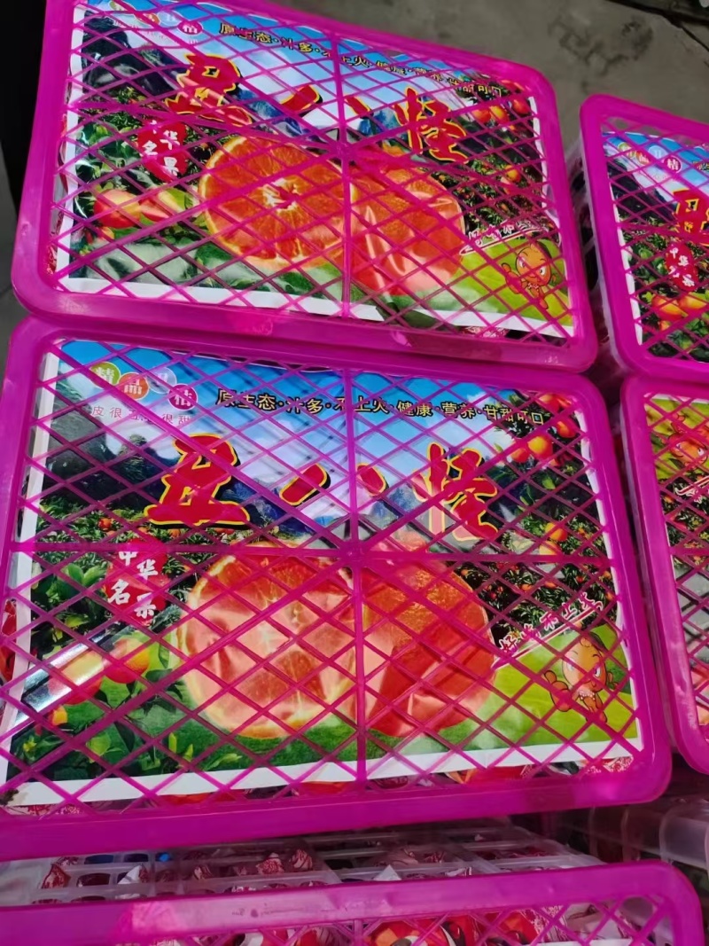 湖北宜昌丑橘不知火耙耙柑产地直发颗粒饱满口感甜蜜多汁现摘