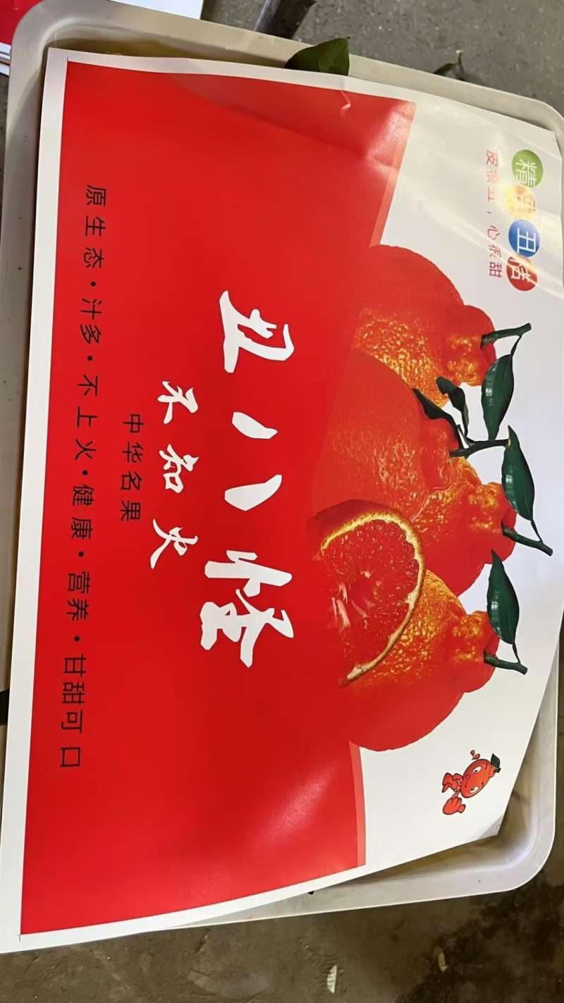 湖北宜昌丑橘不知火耙耙柑产地直发颗粒饱满口感甜蜜多汁现摘