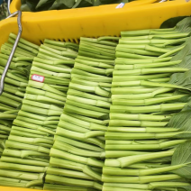 精品广东菜心大量上市，需要的老板可随时咨询