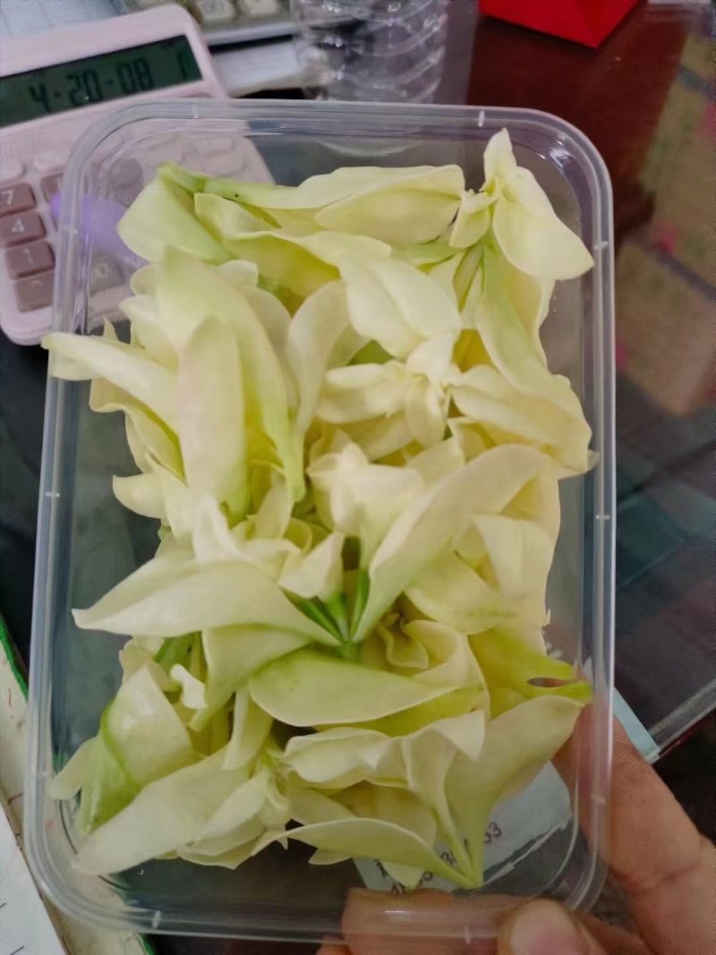 白冰草，雪莲芯，白田七，雪莲花