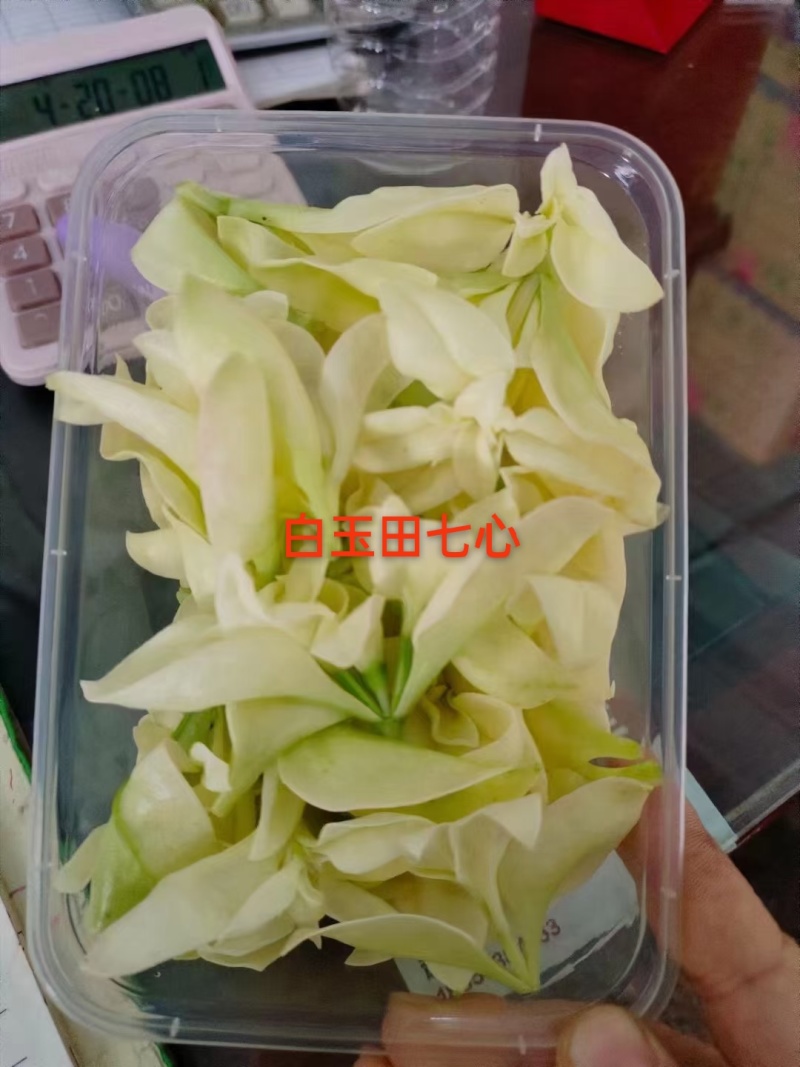 白冰草，雪莲芯，白田七，雪莲花