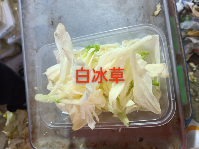 白冰草，雪莲芯，白田七，雪莲花