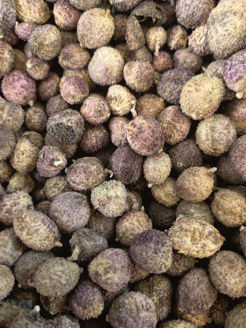 云南文山阳春砂仁统货